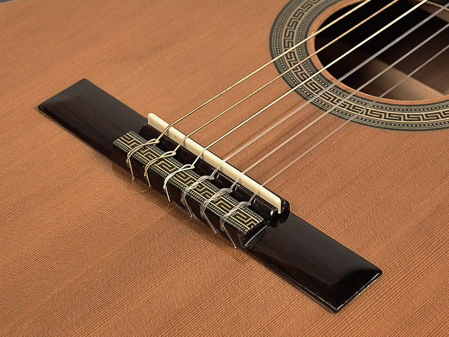 Richwood RC-16-CE Artist Series classic stage guitar