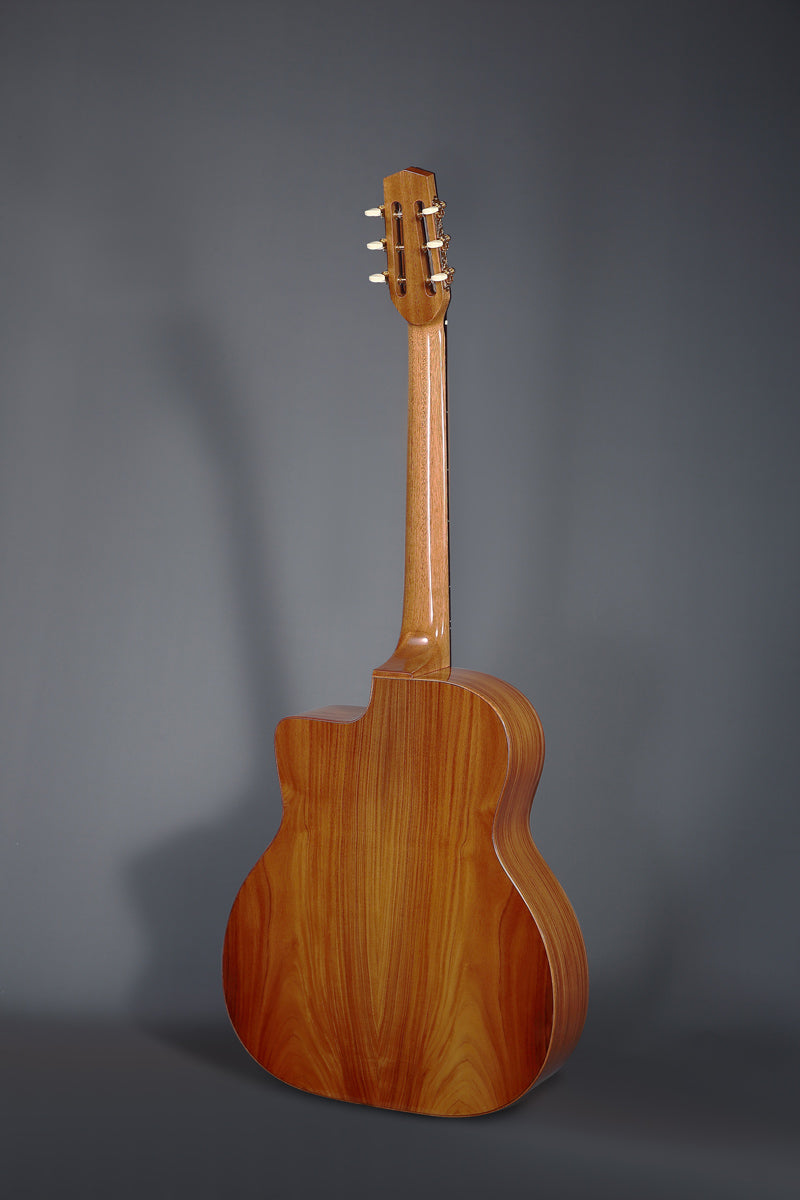 ALTAMIRA M01K GYPSY m/case