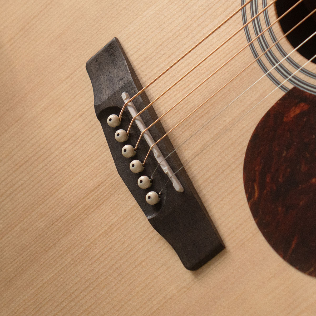 CORT MR500E NT
