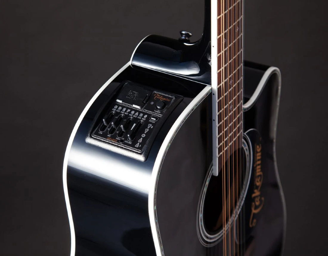 Takamine EF381DX 12-strenger