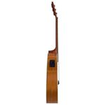 Bromo Appalachian Series grand auditorium guitar BAA2CE