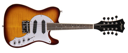 MORGAN MANDOLIN ME 10 VS