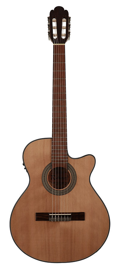 Richwood RC-16-CE Artist Series classic stage guitar