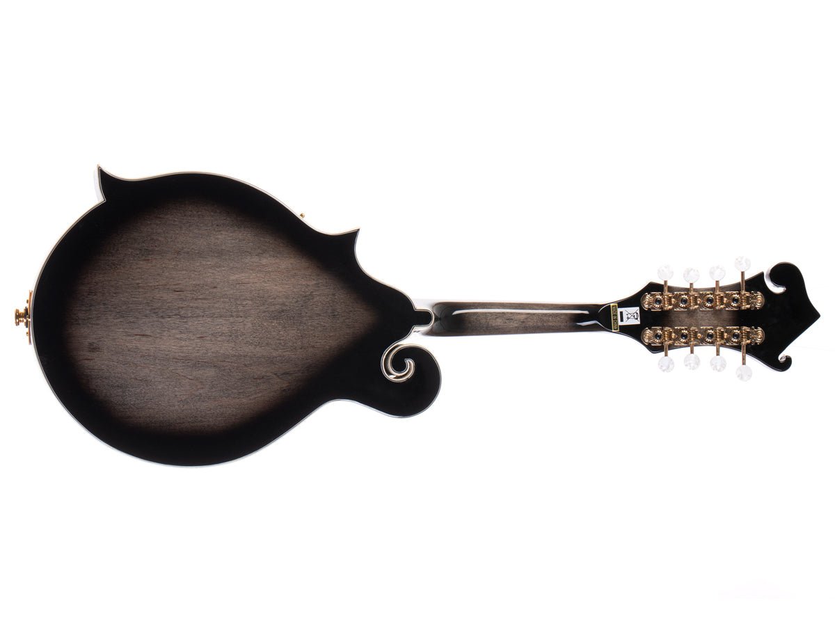 MORGAN MANDOLIN M 70 E TBK W/CASE