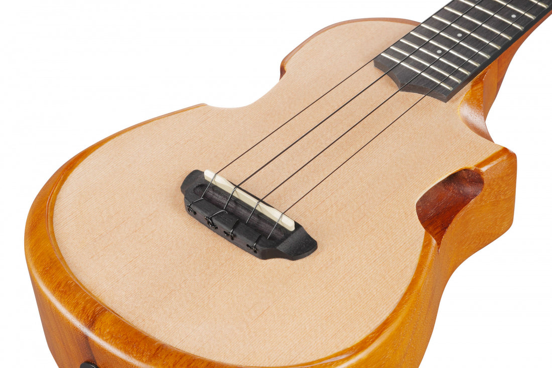 Ibanez AUC10E-OPN Concert Ukulele m. mik. &amp; bag, Soundport