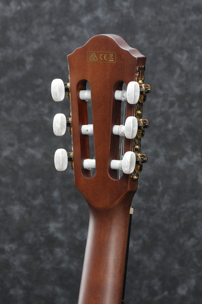 IBANEZ AEG50N-BKH Nylonstrenger med mik, Thin body