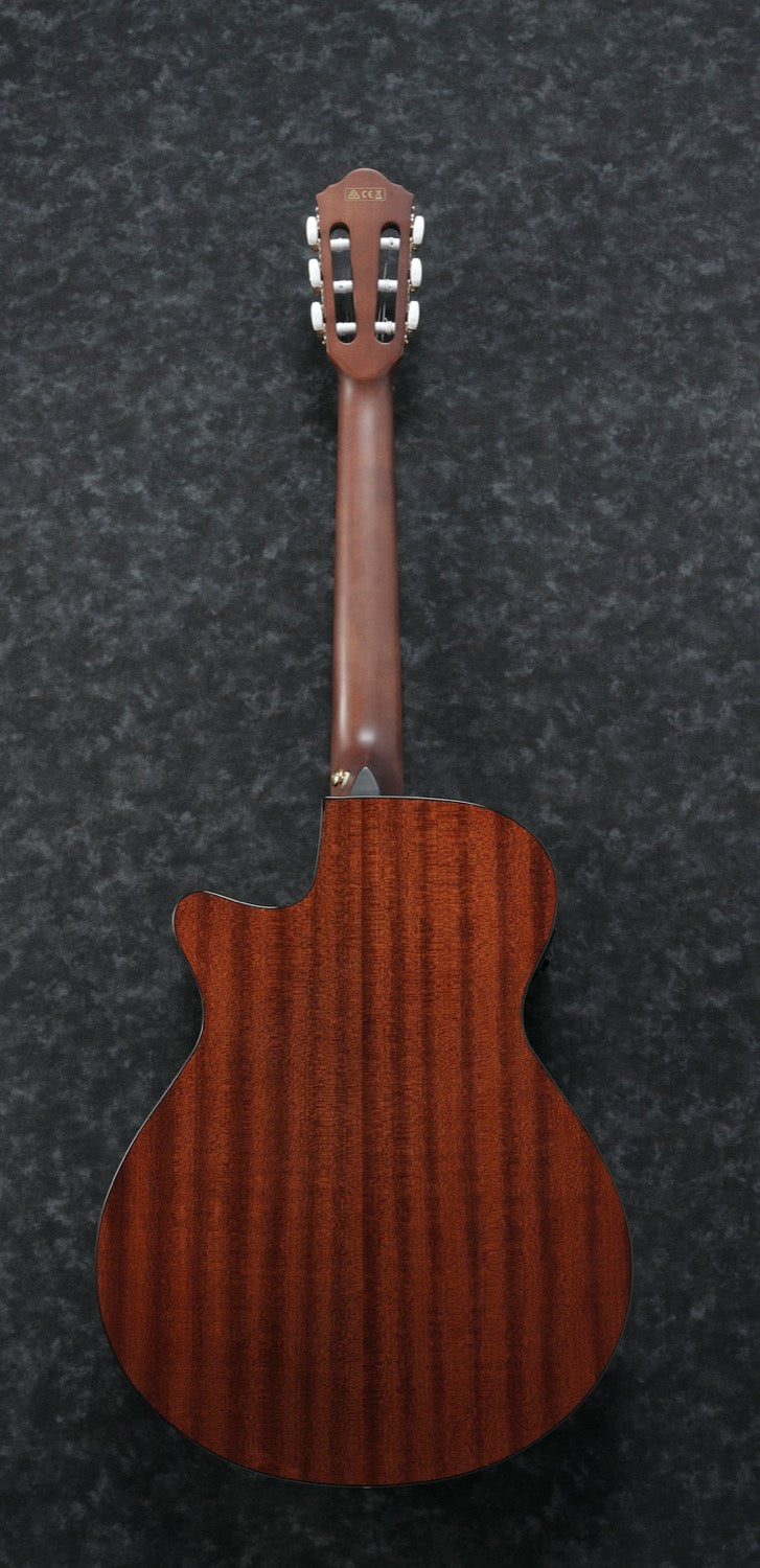 IBANEZ AEG50N-BKH Nylonstrenger med mik, Thin body