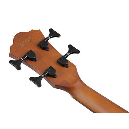 Ibanez AEGB24FE-MHS Akustisk bas med mik, Fretless