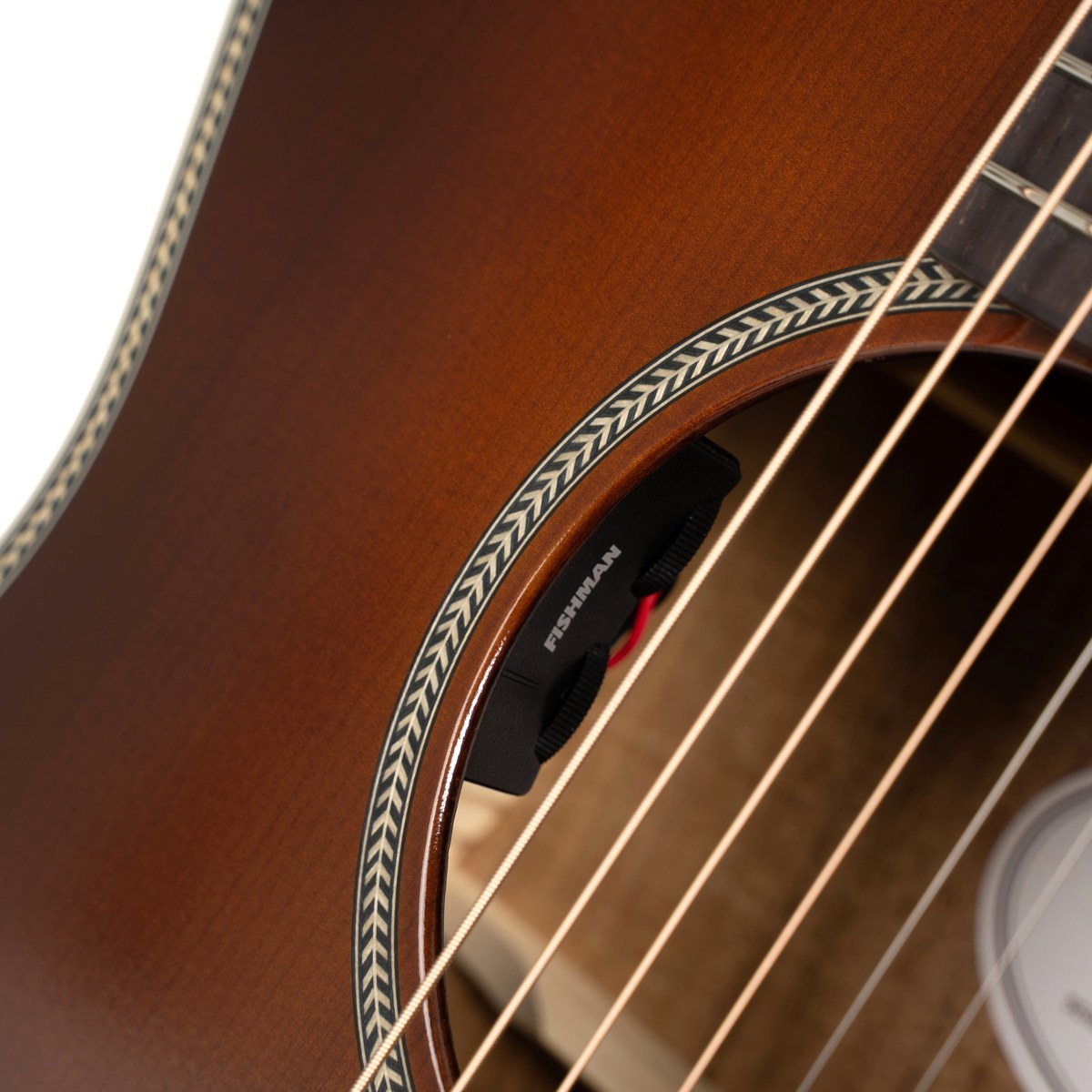 CORT Essence ES GA4 Special BRSG