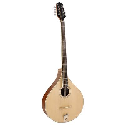 Richwood Heritage Series Irish bouzouki with solid spruce top