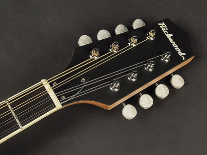 Richwood Heritage Series Irish bouzouki with solid spruce top