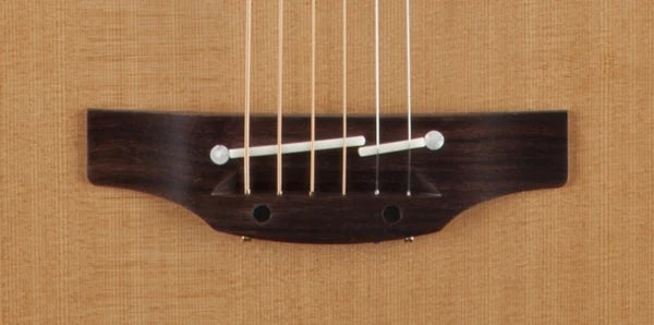 Takamine P3DC