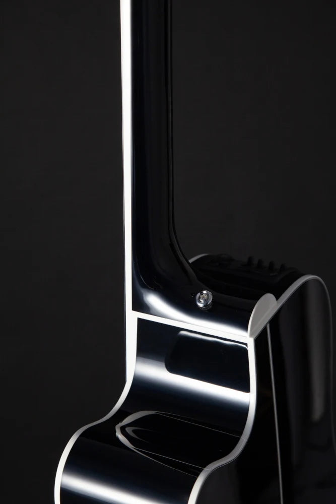 Takamine EF381DX 12-strenger