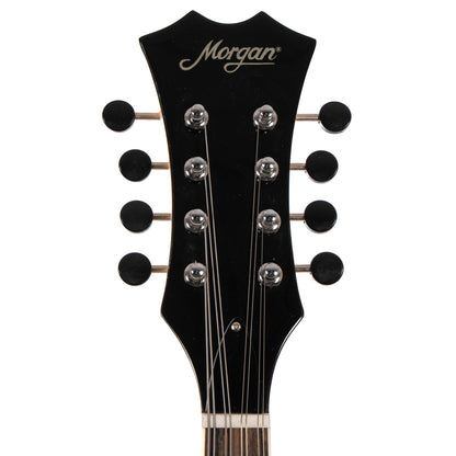 MORGAN MANDOLIN ME 10 BK