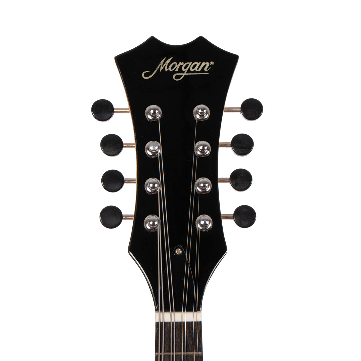 MORGAN MANDOLIN ME 10 VS
