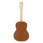 Kremona GG65S Green Globe classic guitar solid spruce and sapele