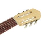 Kremona GG65S Green Globe classic guitar solid spruce and sapele