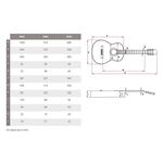 Kremona GG65S Green Globe classic guitar solid spruce and sapele
