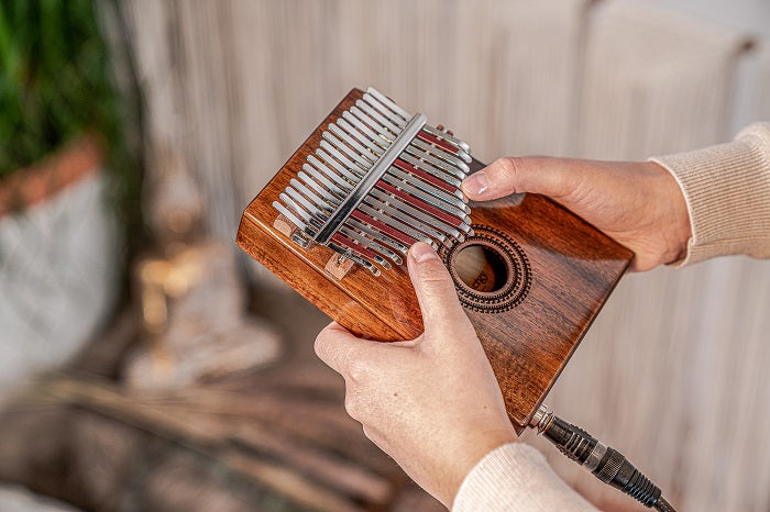 Meinl PKL1707H Kalimba m. pickup