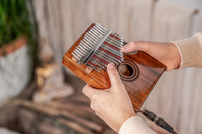 Meinl PKL1707H Kalimba m. pickup