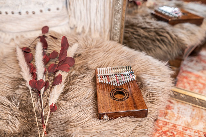 Meinl PKL1707H Kalimba m. pickup