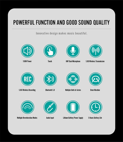 SWIFF AUDIO S100 MULTI AMP