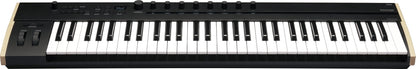 KORG Keystage-61