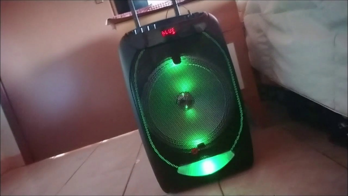 12" Partyhøyttaler m/Lys og 2xTrådløse mikrofoner