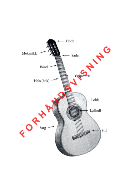 Gitar 1